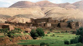 Marrakesh private tour to Ouarzazate 2 days / 1 night at Fint Oasis