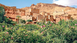 Imperial Cities and desert tour of Morocco 10 D / 9 N